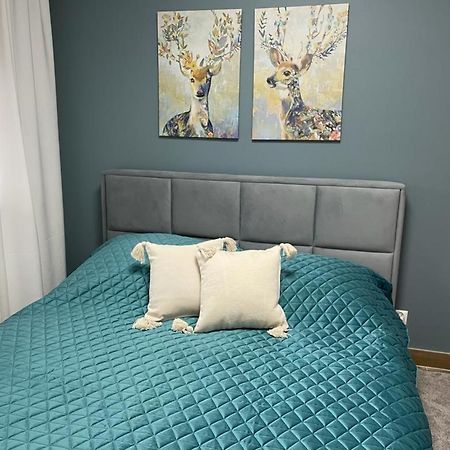 Apartament Sosnowy Zakatek Gliwice Esterno foto